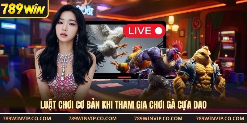 Luật chơi cơ bản khi tham gia chơi gà cựa dao